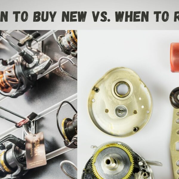 When To Buy a New Reel or Repair Old Reel?