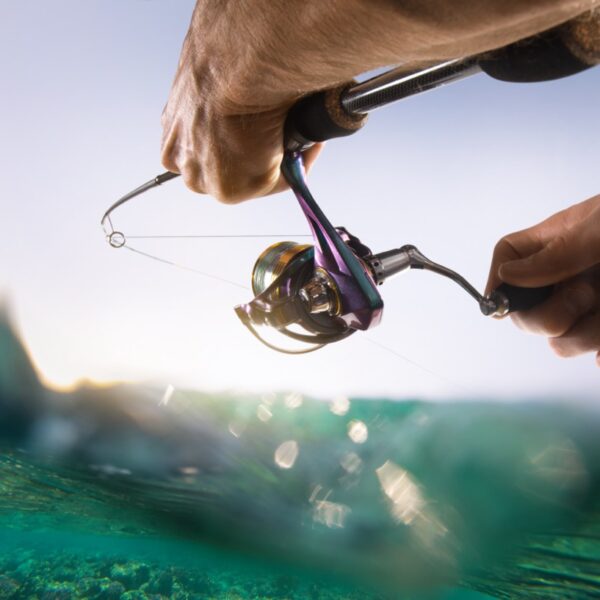 How to Properly Lube a Spinning Reel