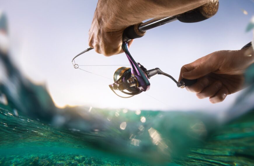 How to Properly Lube a Spinning Reel