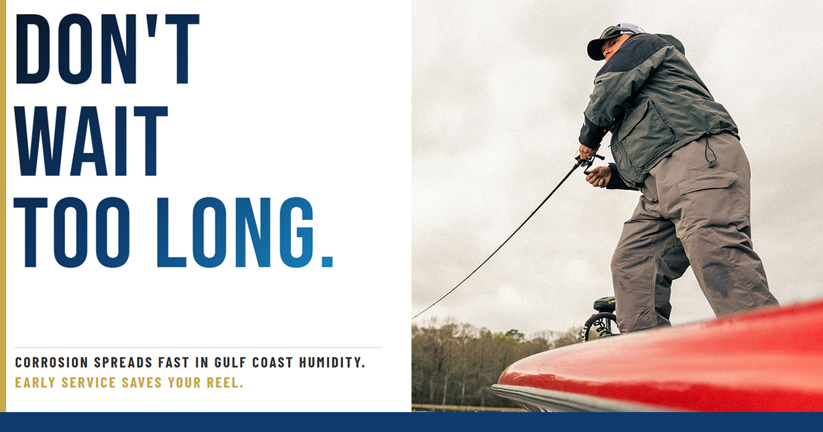 What We Found Inside a Neglected Shimano Curado DC