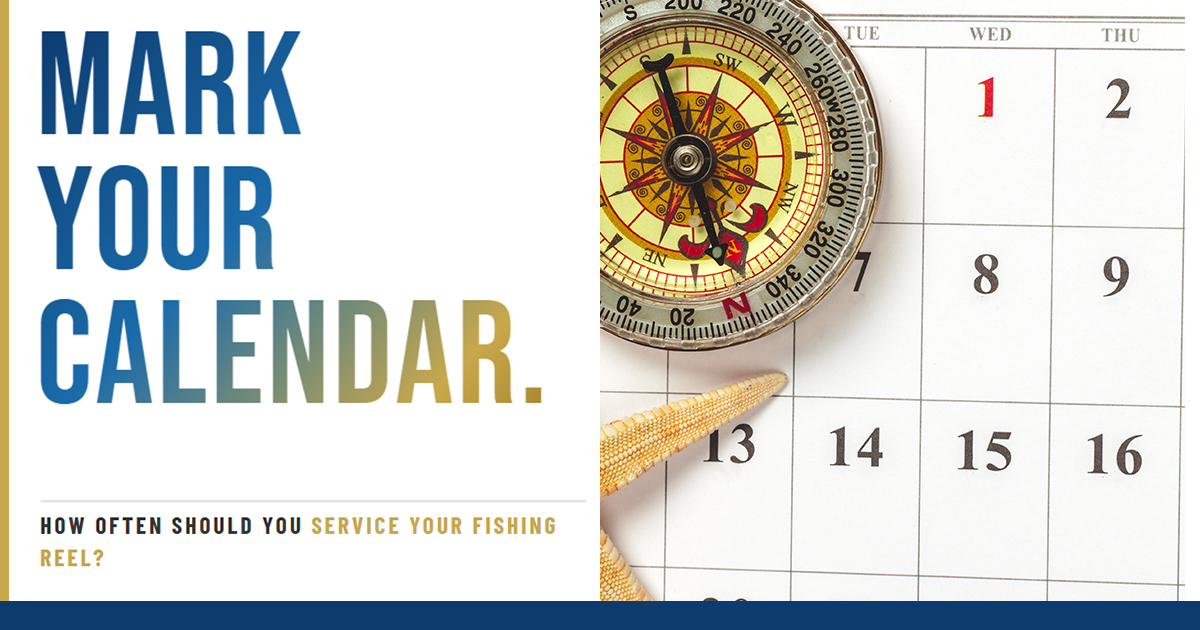 Fishing reel repair schedule